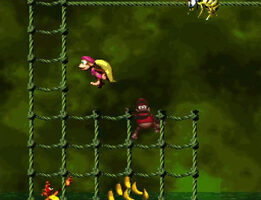 dkc 24
