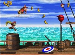 dkc 3