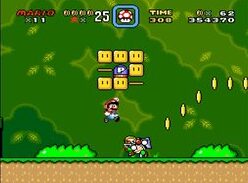 smw 2